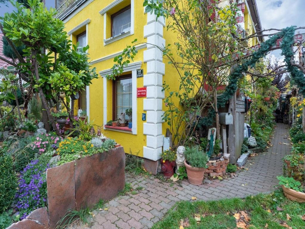 Holiday Flat With Garden In Wißmar Eksteriør billede